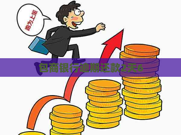 包商银行逾期还款2天6