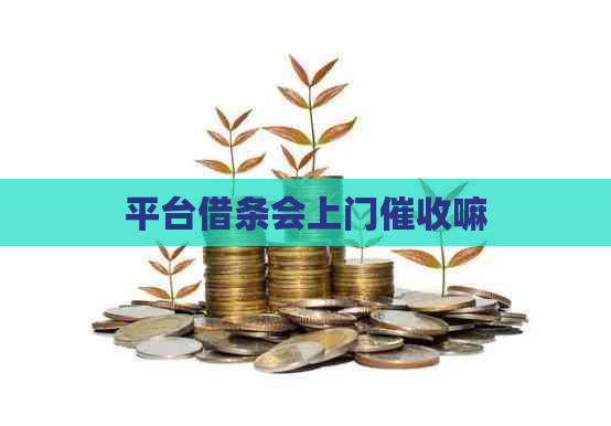 平台借条会上门嘛