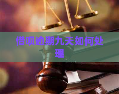 借呗逾期九天如何处理