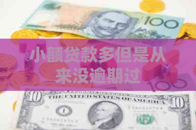 小额贷款多但是从来没逾期过