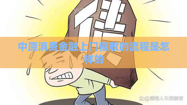 中原消费金融上门的流程是怎样的