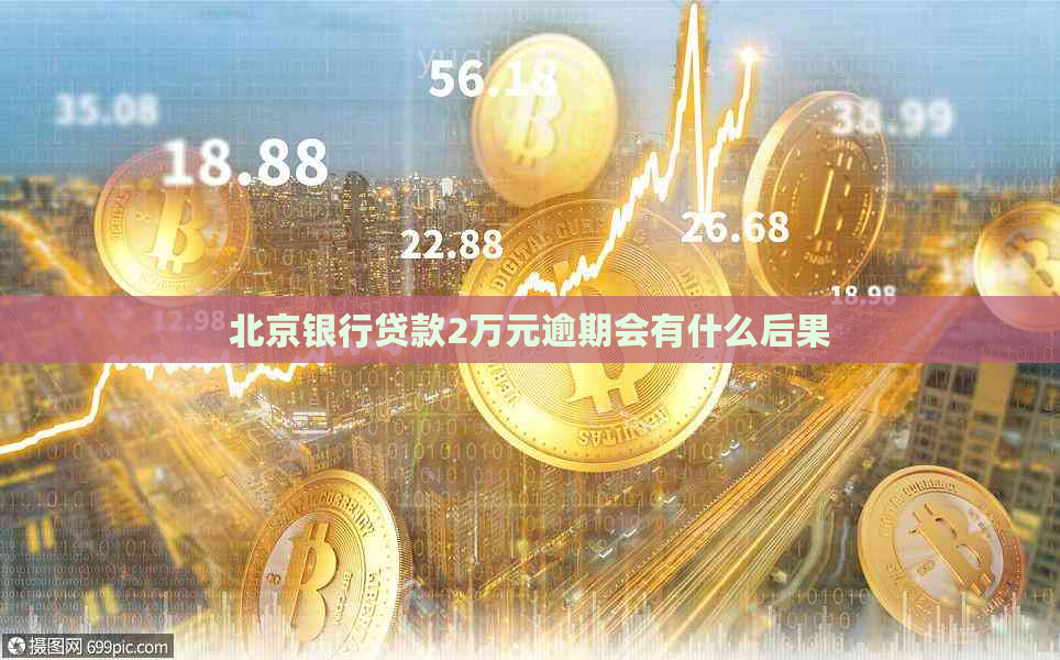 北京银行贷款2万元逾期会有什么后果