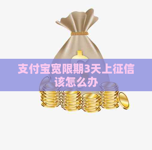 支付宝宽限期3天上该怎么办