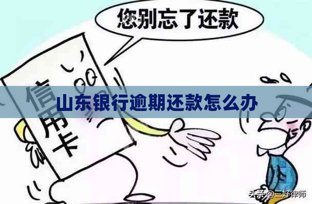 山东银行逾期还款怎么办