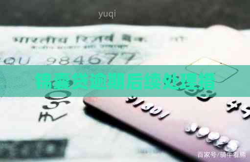 锦囊贷逾期后续处理措