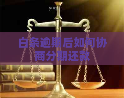 白条逾期后如何协商分期还款
