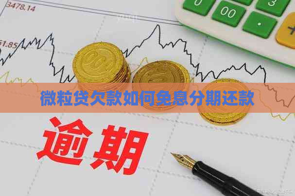 微粒贷欠款如何免息分期还款