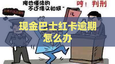 现金巴士红卡逾期怎么办