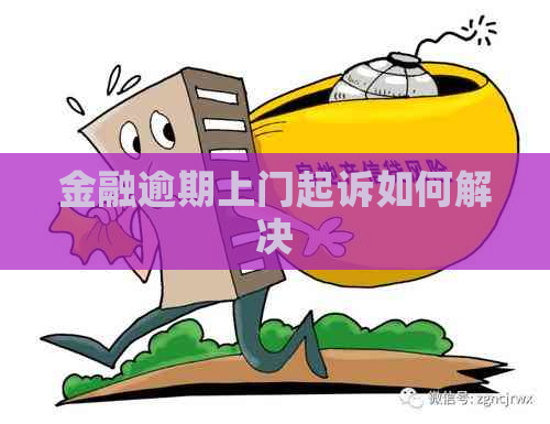金融逾期上门起诉如何解决