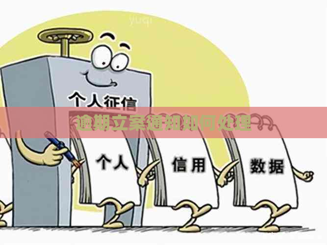 逾期立案通知如何处理