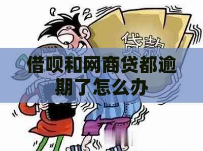 借呗和网商贷都逾期了怎么办