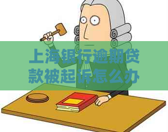 上海银行逾期贷款被起诉怎么办