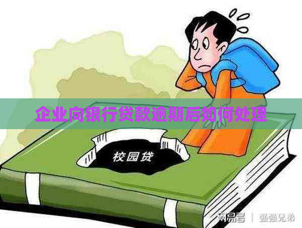 企业向银行贷款逾期后如何处理