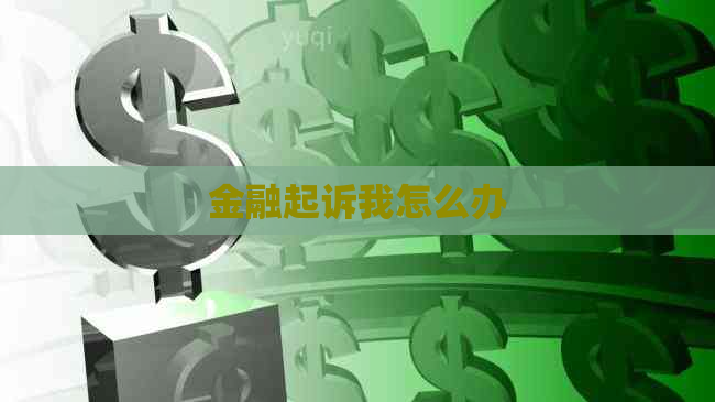 金融起诉我怎么办