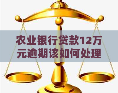 农业银行贷款12万元逾期该如何处理