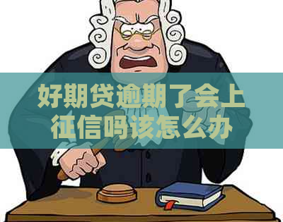 好期贷逾期了会上吗该怎么办