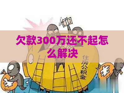 欠款300万还不起怎么解决