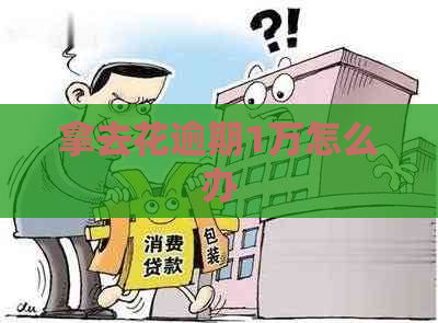 拿去花逾期1万怎么办