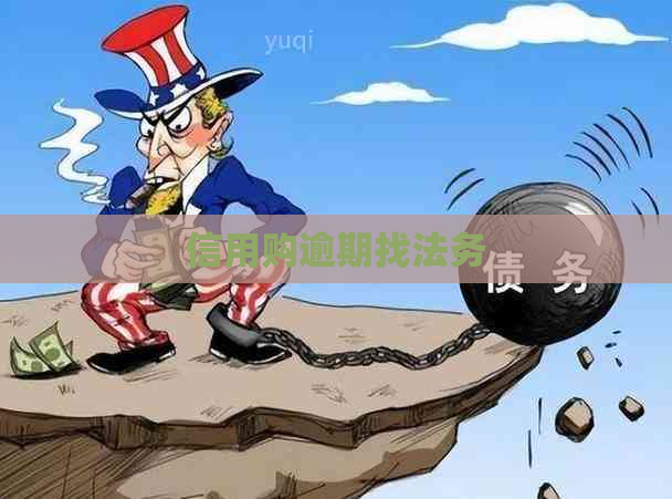 信用购逾期找法务