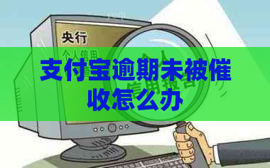 支付宝逾期未被怎么办