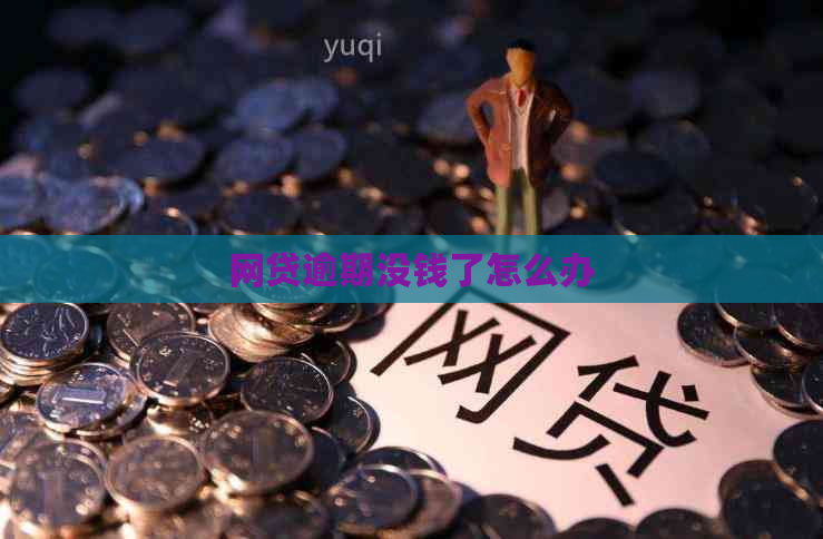 网贷逾期没钱了怎么办