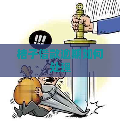 桔子借款逾期如何处理