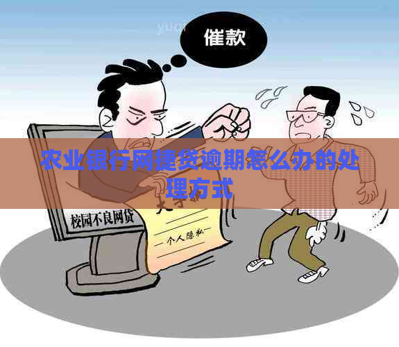 农业银行网捷贷逾期怎么办的处理方式