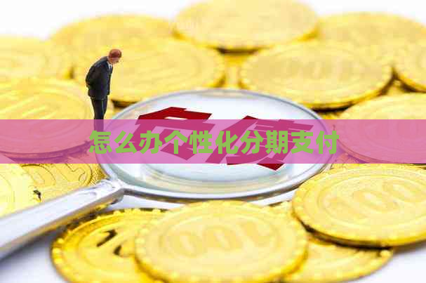 怎么办个性化分期支付