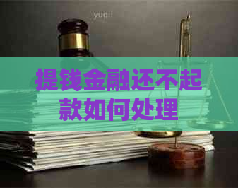 提钱金融还不起款如何处理