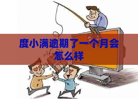 度小满逾期了一个月会怎么样