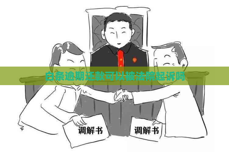 白条逾期还款可以被法院起诉吗