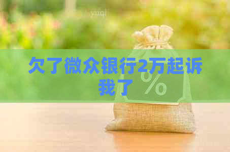 欠了微众银行2万起诉我了