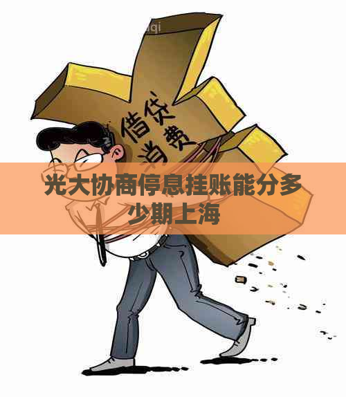 光大协商停息挂账能分多少期上海
