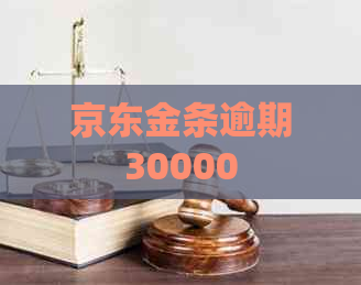 京东金条逾期30000