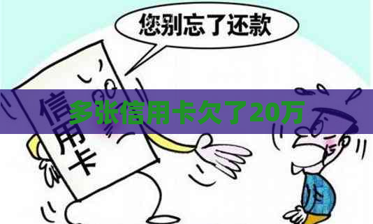 多张信用卡欠了20万