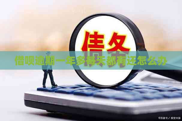 借呗逾期一年多每天都有还怎么办