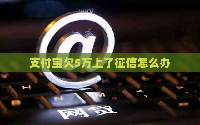 支付宝欠5万上了怎么办