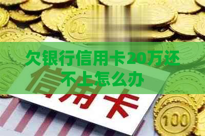 欠银行信用卡20万还不上怎么办