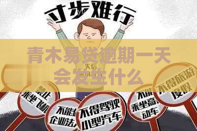 青木易贷逾期一天会发生什么