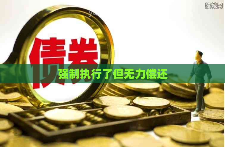 强制执行了但无力偿还