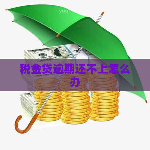税金贷逾期还不上怎么办