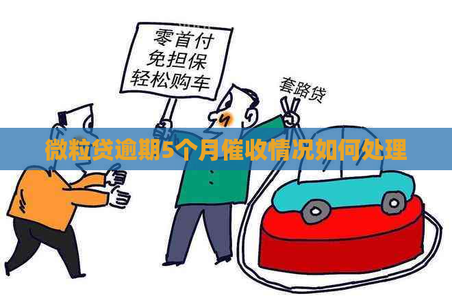 微粒贷逾期5个月情况如何处理