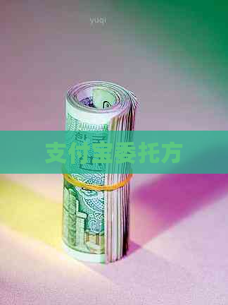 支付宝委托方