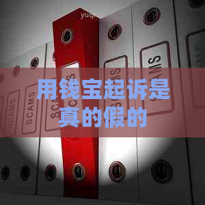 用钱宝起诉是真的假的