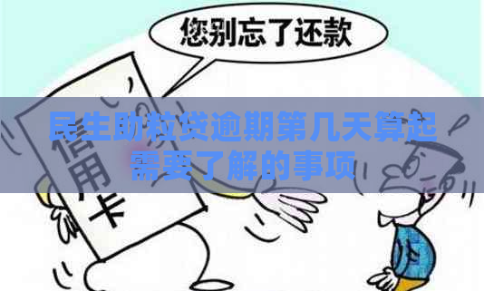 民生助粒贷逾期第几天算起需要了解的事项