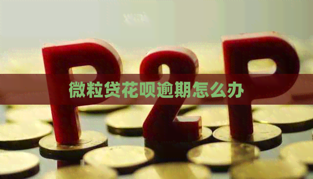 微粒贷花呗逾期怎么办