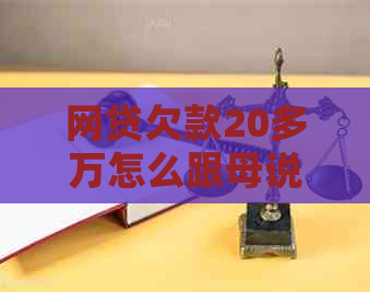 网贷欠款20多万怎么跟母说