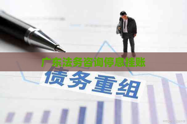 广东法务咨询停息挂账