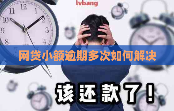 网贷小额逾期多次如何解决