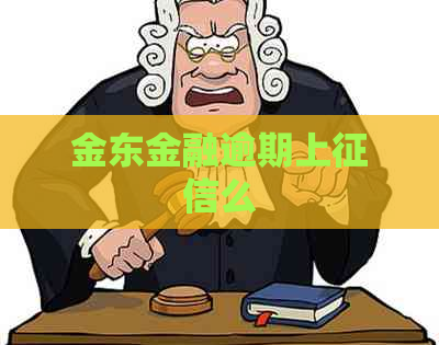 金东金融逾期上么